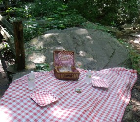 picnic at park